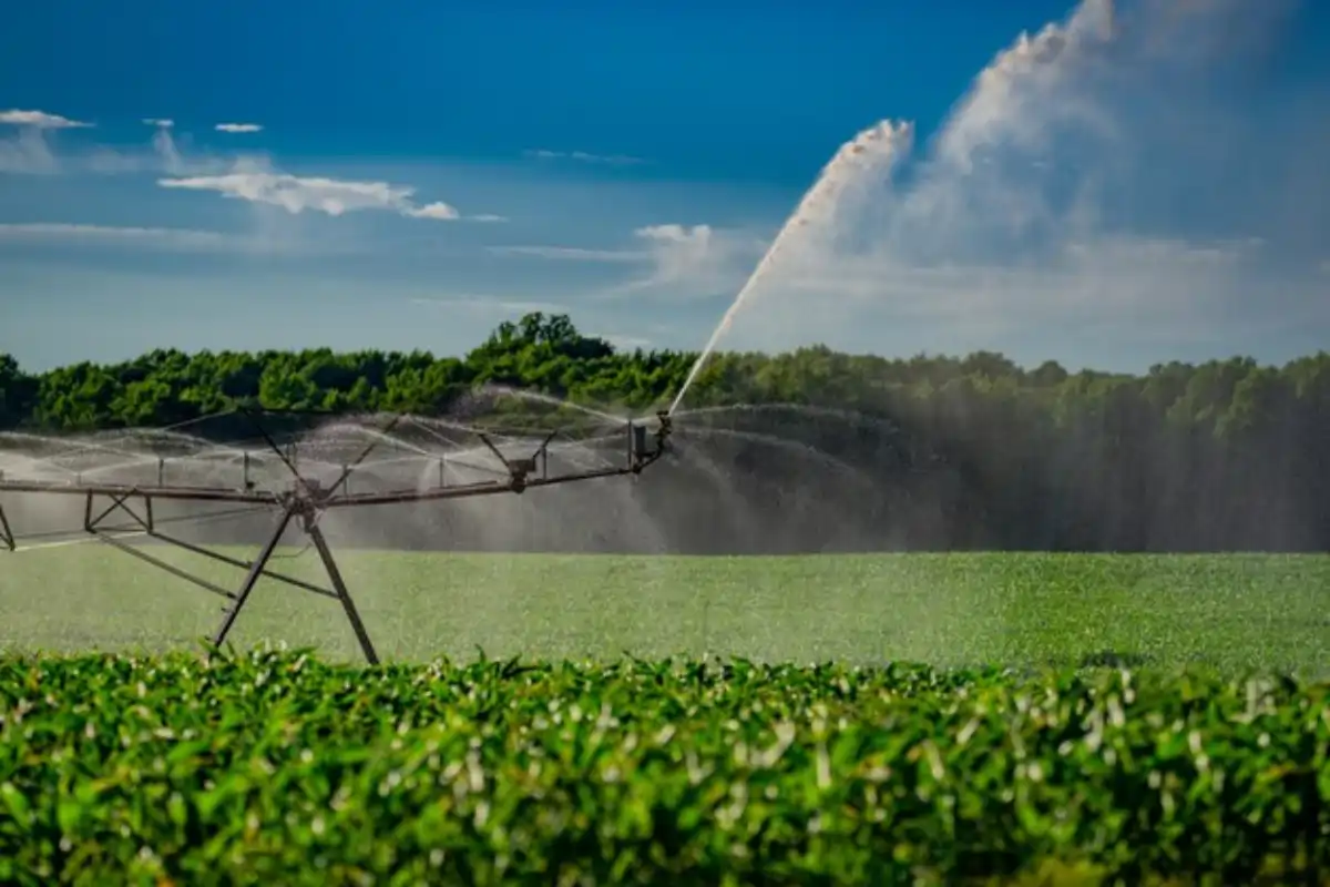 Instalação Elétrica para Agronegócio no Vale do São Francisco